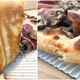 Image for article titled Pizza Hut’s “new and improved” pan pizza is new but not improved
